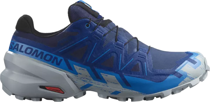 Кроссовки Speedcross 6 GORE-TEX 'Blueprint Quarry', синий