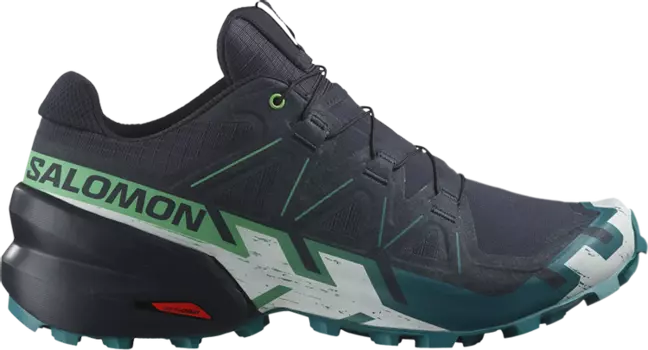 Кроссовки Speedcross 6 GORE-TEX 'Carbon Tahitian Tide', черный