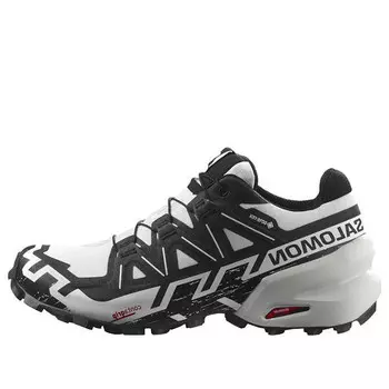 Кроссовки speedcross 6 gore-tex 'grey' Salomon, серый