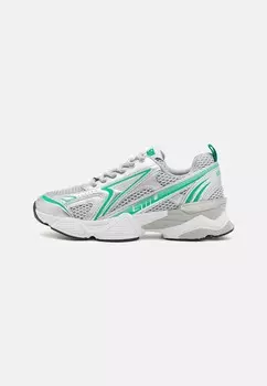 Кроссовки SPEEDSTER Steve Madden, серебристый