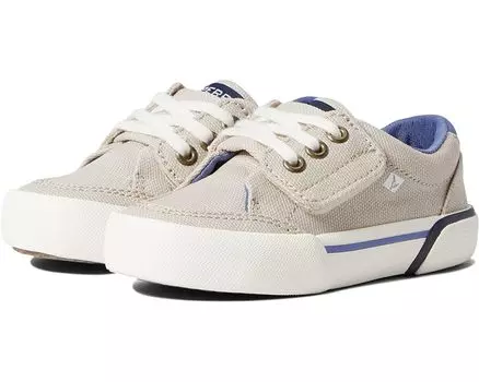 Кроссовки Sperry Harbor Tide Washable, цвет Stone