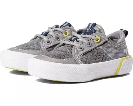 Кроссовки Sperry Soletide, цвет Grey 1