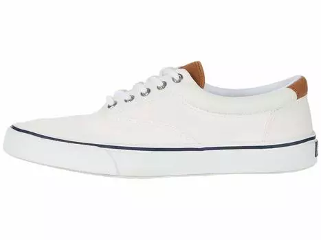 Кроссовки Sperry Striper II CVO Canvas