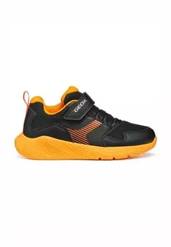 Кроссовки SPRINTYE Geox, черный