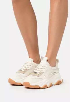 Кроссовки Steve Madden