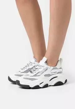Кроссовки Steve Madden