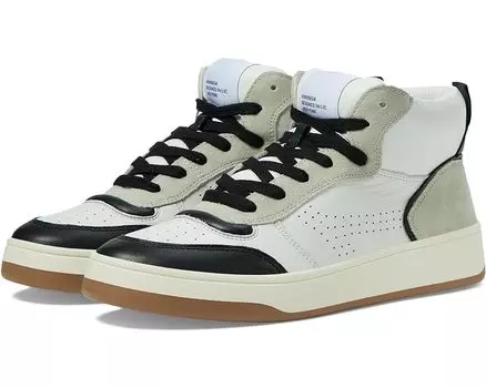 Кроссовки Steve Madden Calypso, цвет Black Leather