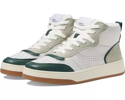 Кроссовки Steve Madden Calypso, цвет Green Leather