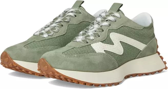 Кроссовки Steve Madden Campo Sneaker, цвет Sage Multi