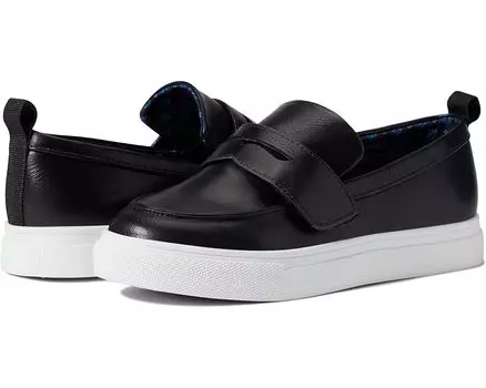 Кроссовки Steve Madden Cooper, черный