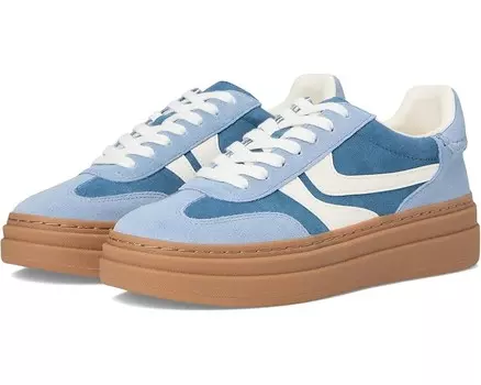 Кроссовки Steve Madden Dodge, цвет Blue Multi
