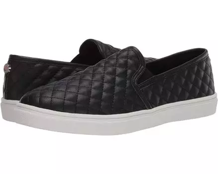 Кроссовки Steve Madden Ecentrcq, черный
