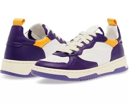 Кроссовки Steve Madden Everlie, цвет Purple Multi