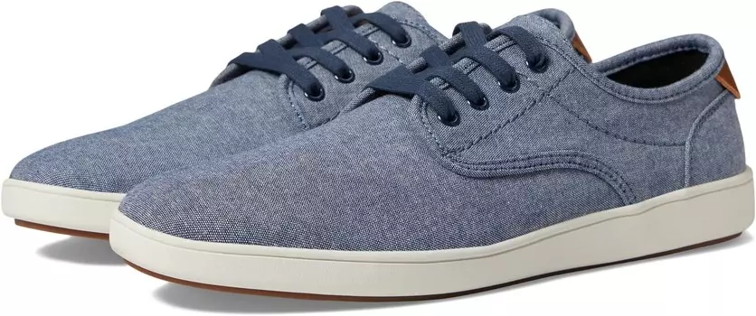Кроссовки Steve Madden Fenta, синий