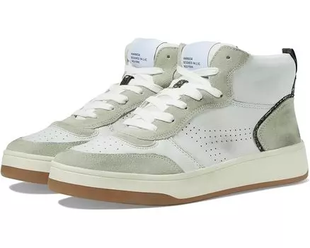 Кроссовки Steve Madden Finnian, цвет White Leather