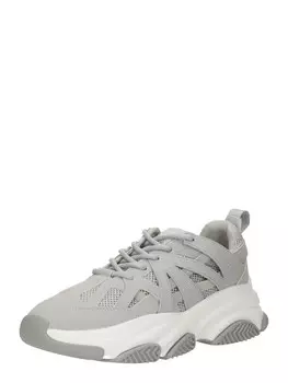 Кроссовки STEVE MADDEN Peckman, серый