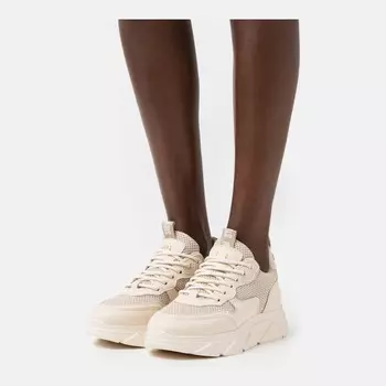 Кроссовки Steve Madden Pitty, bone