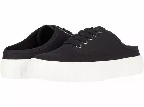 Кроссовки Steve Madden, Scotch Sneaker