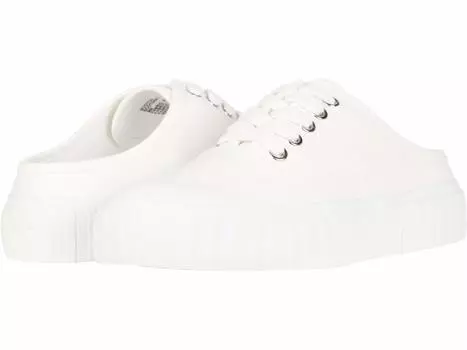 Кроссовки Steve Madden, Scotch Sneaker