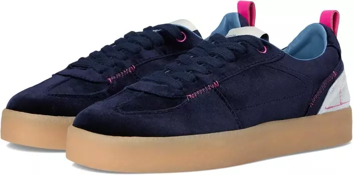 Кроссовки Steve Madden Tucker, цвет Navy Multi