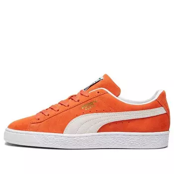 Кроссовки suede classic 21 'fall foliage' Puma, мультиколор