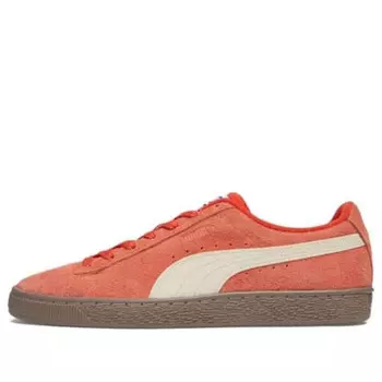 Кроссовки suede nt 'fall foliage snow light grey' Puma, мультиколор