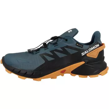 Кроссовки Supercross 4 GTX мужчины SALOMON, цвет orange