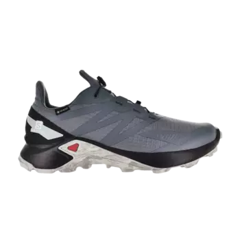 Кроссовки Supercross Blast GTX Salomon, серый