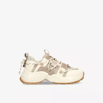 Кроссовки Tazmania с низким берцем из искусственной замши и сетки Steve Madden, коричневый