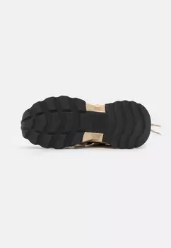 Кроссовки Tazmania Steve Madden, хаки