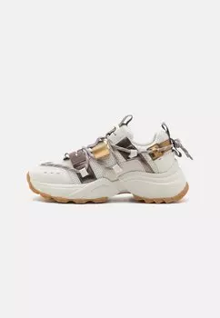 Кроссовки Tazmania Steve Madden, золотой