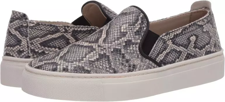 Кроссовки The FLEXX Sneak Name, цвет Roccia Jack