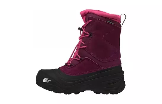 Кроссовки THE NORTH FACE Alpenglow 5 Kids Outdoor Shoes Kids, фиолетовый