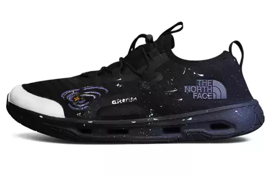 Кроссовки THE NORTH FACE Lifestyle Shoes Men Low-top Blue, черный