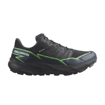 Кроссовки Thundercross GORE-TEX Salomon, черный