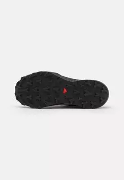 Кроссовки Thundercross Salomon, черный