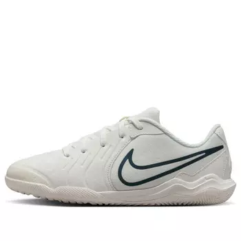 Кроссовки tiempo legend 10 academy ic 'pearl' Nike, мультиколор