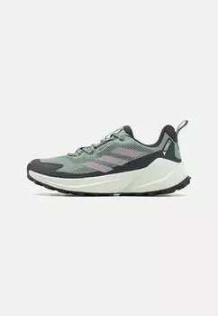 Кроссовки TRAILMAKER 2 GORE-TEX SHOES Adidas Terrex, цвет silver green/preloved fig/crystal jade