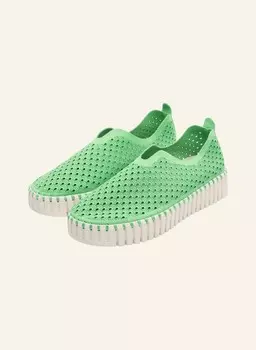Кроссовки tulip3373 ILSE JACOBSEN, зеленый