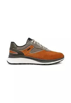 Кроссовки U SPHERICA ACTIF X1 Geox, цвет Cognac