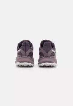 Кроссовки ULTRA FLOW GTX Salomon, черный