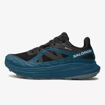 Кроссовки Ultra Flow GTX Salomon, синий