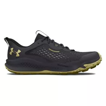 Кроссовки Under Armour Charged Maven Trail, серый