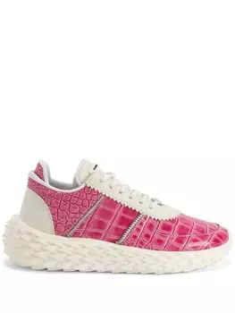 Кроссовки Urchin с тиснением под крокодила Giuseppe Zanotti, розовый