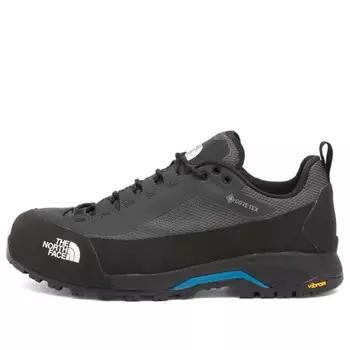 Кроссовки Verto Alpine Gore-Tex The North Face, мультиколор