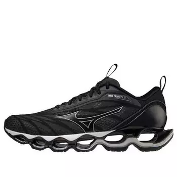 Кроссовки wave prophecy 11 'silver black' Mizuno, мультиколор