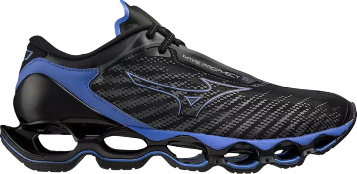 Кроссовки Wave Prophecy 12 'Black Oyster Blue Ashes', черный