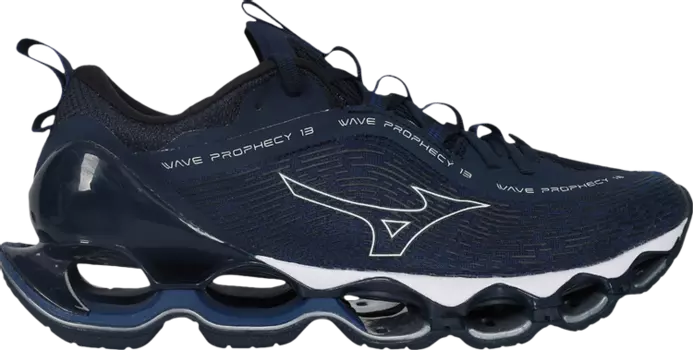 Кроссовки Wave Prophecy 13 'Navy Peony White', синий