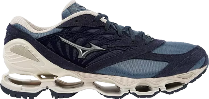 Кроссовки Wave Prophecy LS 'Fisherman Pack', синий