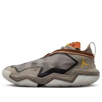 Кроссовки why not.6 x honor the gift 'pecan' Air Jordan, мультиколор